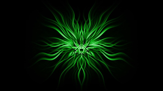 Green flower black background center #2 free wallpaper - medium preview image