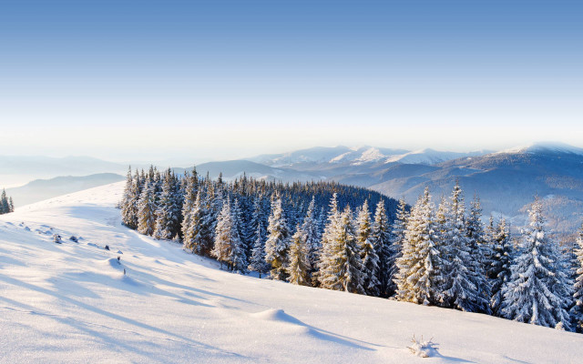 Snowy mountain trees blue sky free wallpaper - medium preview image