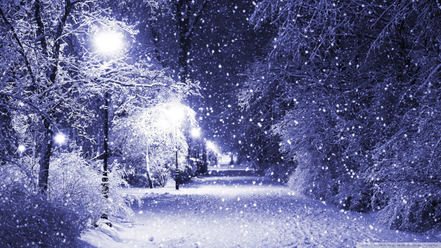 Snowy path street light trees #2 free wallpaper - medium preview image