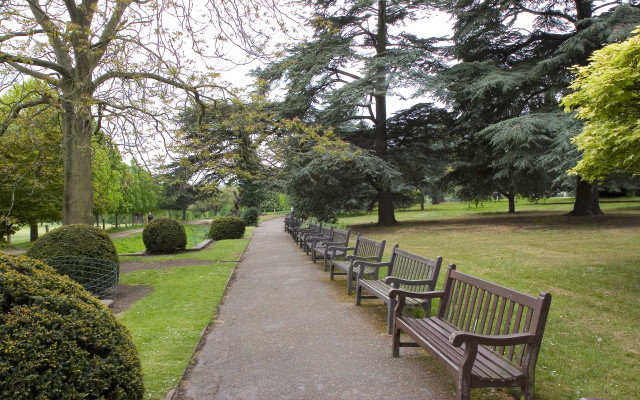 Benches park trees bushes sidewalk free wallpaper - medium preview image