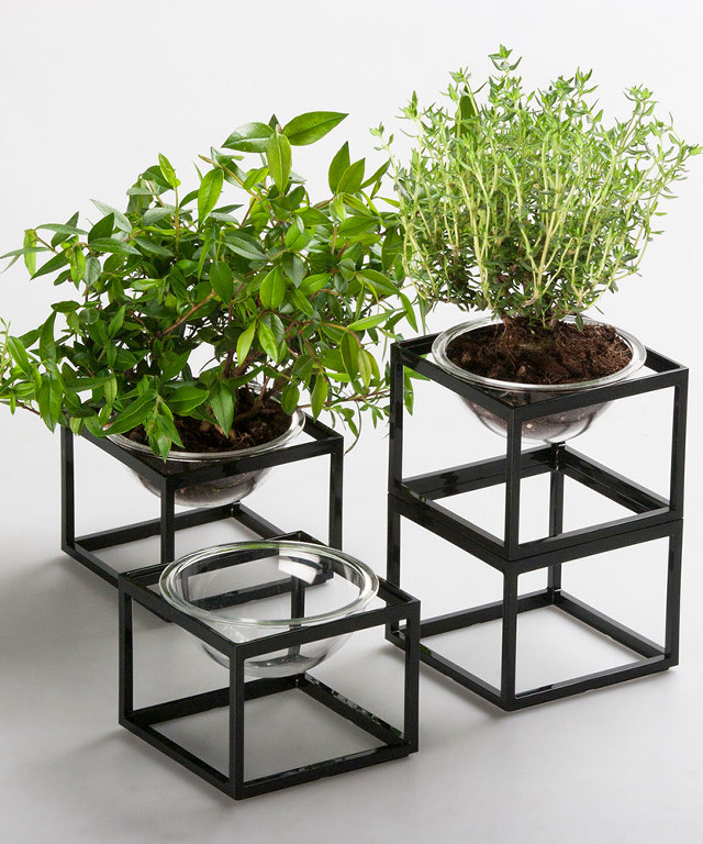 Small plants black planter white free wallpaper - medium preview image