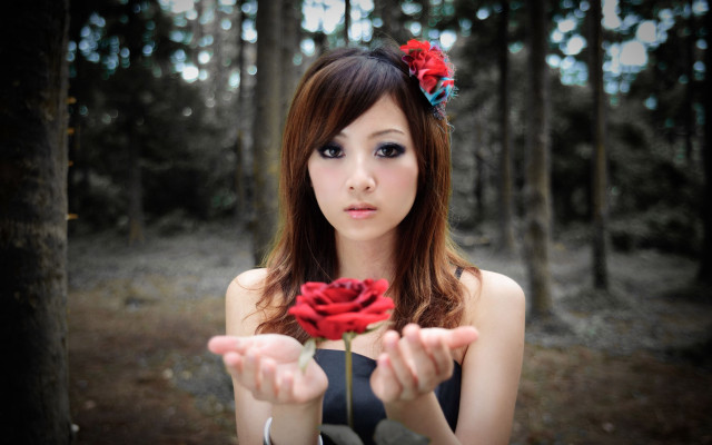 Woman holding rose forest trees free wallpaper - medium preview image