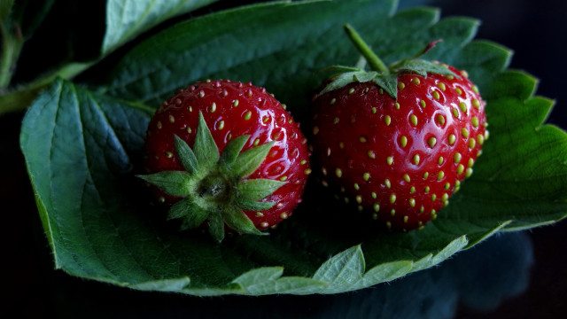 Strawberries leaf table top black free wallpaper - medium preview image