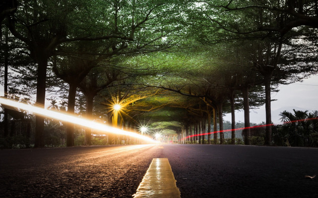 Street light trees city night free wallpaper - medium preview image
