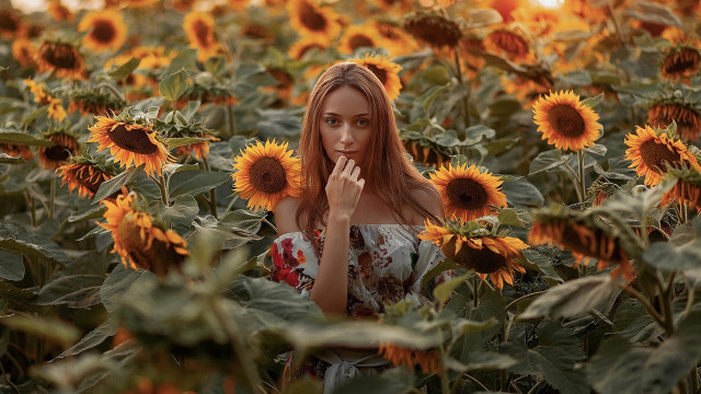 Sunflower field woman autumn blurry free wallpaper - medium preview image