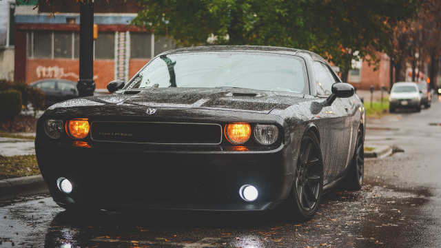 Black car wet street streetlight free wallpaper - medium preview image