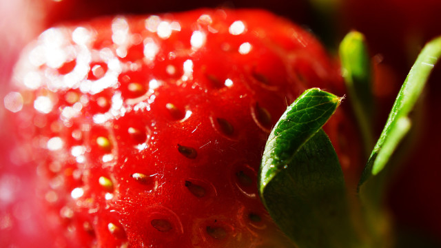Strawberry water droplets macro leaf free wallpaper - medium preview image