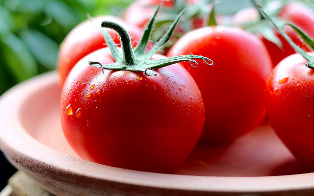 Tomatoes water droplets leaves macro free wallpaper - medium preview image