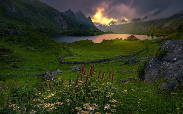 Flower lake mountains clouds sunset free wallpaper - medium preview image