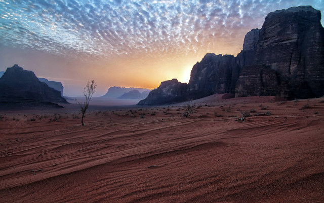 Desert lone tree mountain cloudy free wallpaper - medium preview image
