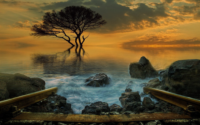 Tree waterboat sunset surreal matte free wallpaper - medium preview image