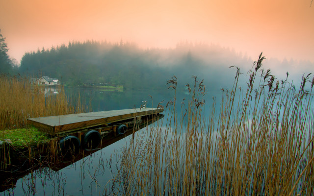 Dock lake tallgrass trees fog free wallpaper - medium preview image