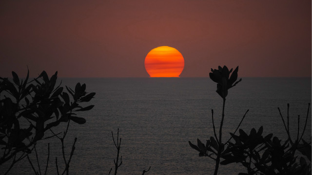 Sunset ocean orange sky trees free wallpaper - medium preview image