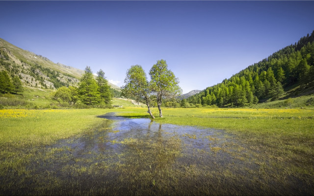 Small tree river mountains blue free wallpaper - medium preview image