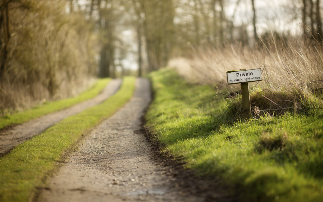 Private press tiltshift field path free wallpaper - medium preview image