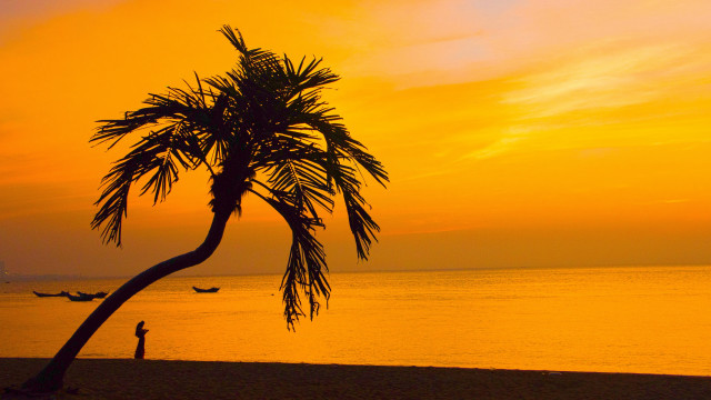 Palm beach sunset person dusk free wallpaper - medium preview image