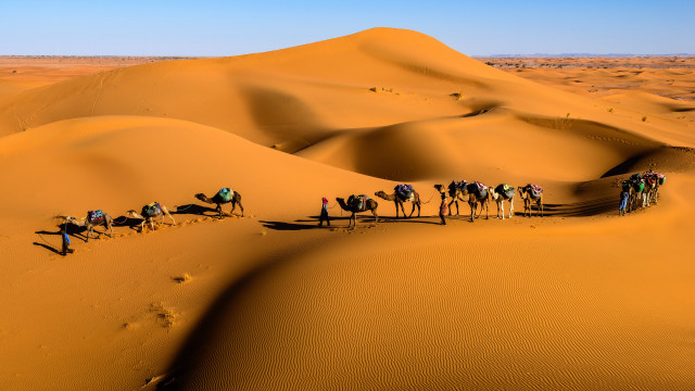 Sahara desert camel riders morocco free wallpaper - medium preview image