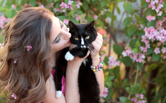 Woman holding cat smiling bokeh free wallpaper - medium preview image