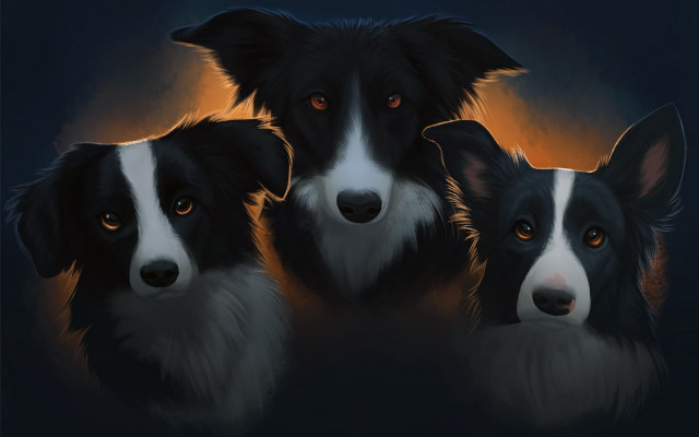 Three dogs orange eyes black free wallpaper - medium preview image
