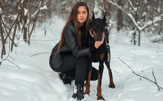 Woman kneeling snow dog forest free wallpaper - medium preview image