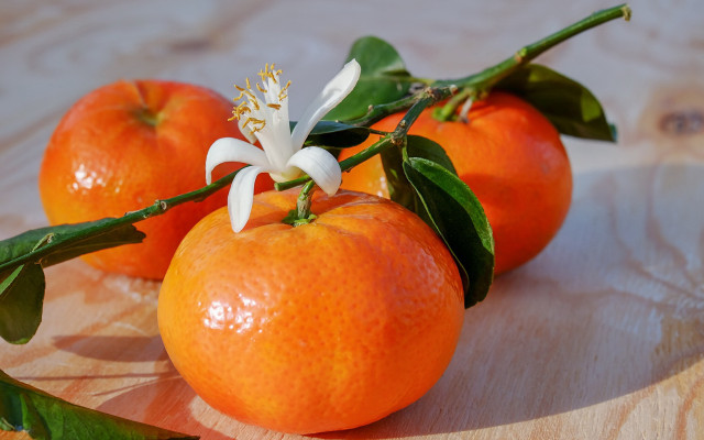 Oranges flower leaves table wooden free wallpaper - medium preview image
