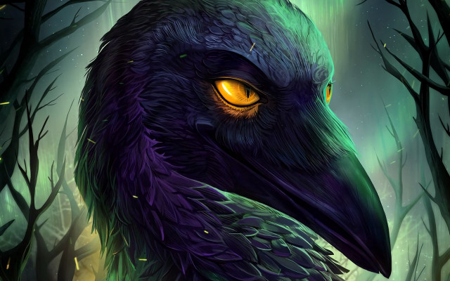 Yellow eyes owl forest night free wallpaper - medium preview image