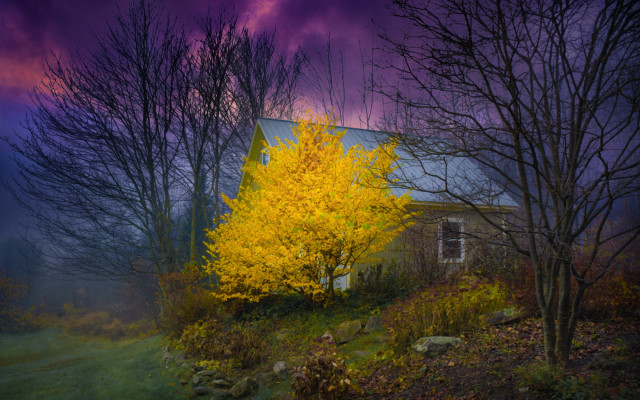 House yellow tree purple sky free wallpaper - medium preview image