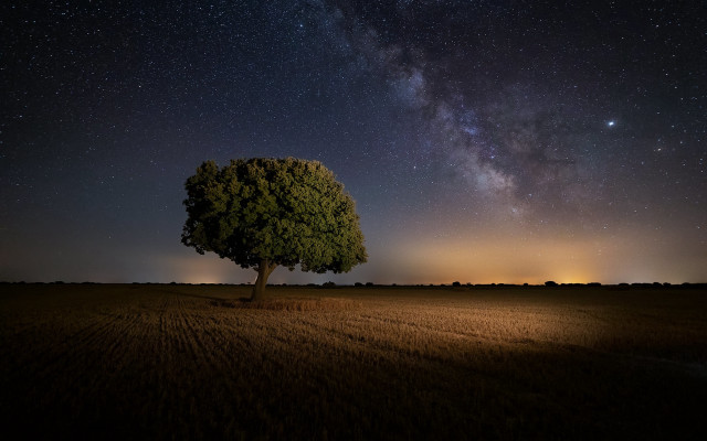 Lone tree night sky stars #2 free wallpaper - medium preview image
