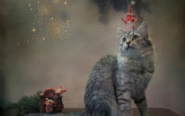 Cat christmas hat gnome tree free wallpaper - medium preview image