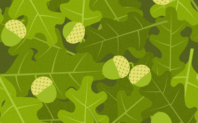 Green leaf yellow leaves leaf free wallpaper - medium preview image