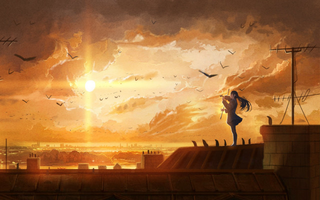 Woman rooftop birds sunset cityscape free wallpaper - medium preview image