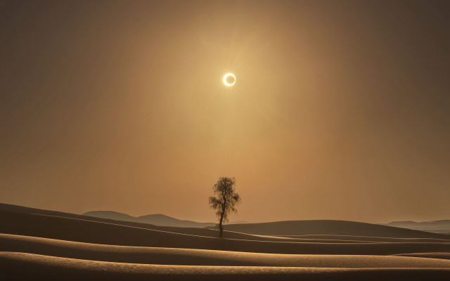 Lone tree desert sunset eclipse free wallpaper - medium preview image