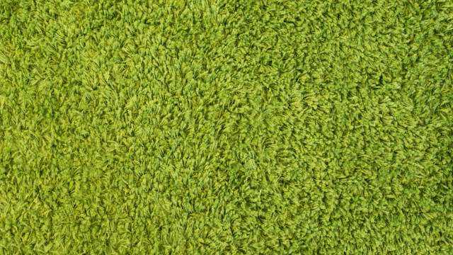 Green grass texture white border free wallpaper - medium preview image