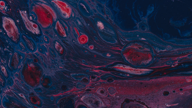 Liquid bubbles abstract red blue free wallpaper - medium preview image