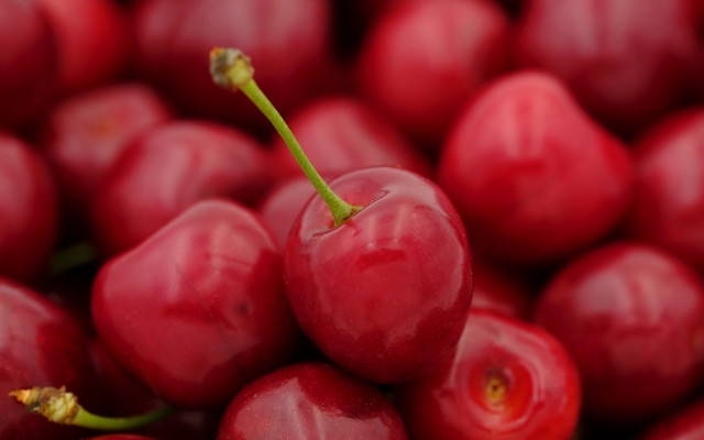 Cherry closeup blurry background macro free wallpaper - medium preview image