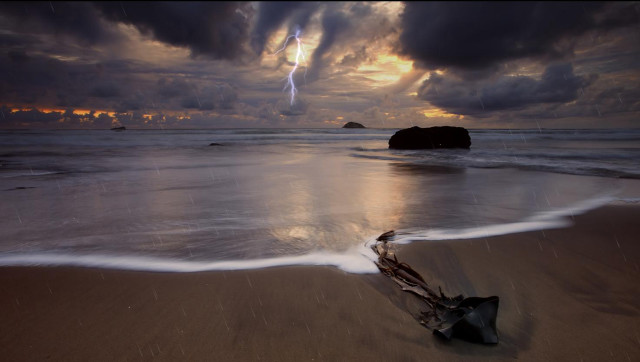 Beach tree branch sand lightning free wallpaper - medium preview image