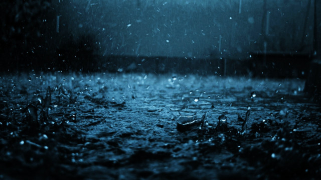 Dark rainy night rain grass free wallpaper - medium preview image
