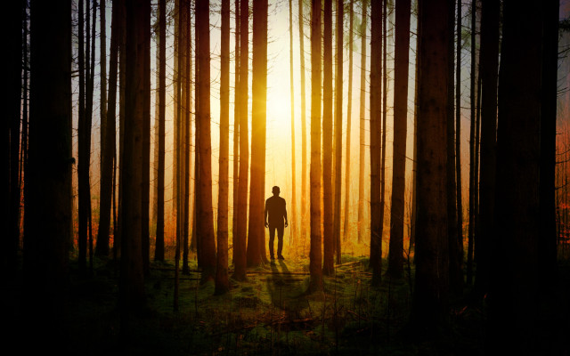 Man forest sunset sunshine figuration free wallpaper - medium preview image