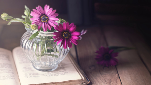 Vase flowers openbook purpleflowers daisylily free wallpaper - medium preview image