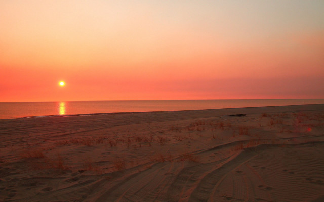 Sunset beach lone horse ocean free wallpaper for desktop - medium preview image