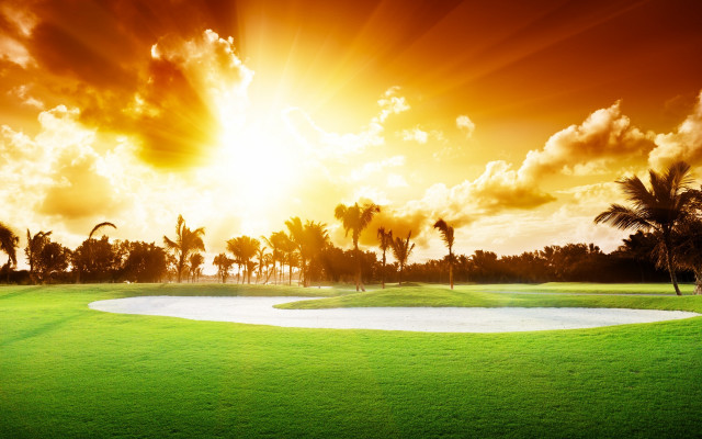 Golf course sand path palm free wallpaper - medium preview image