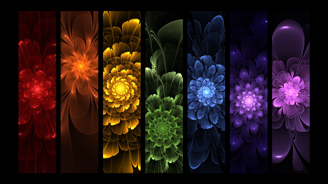 Colorful flowers black background red free wallpaper - medium preview image