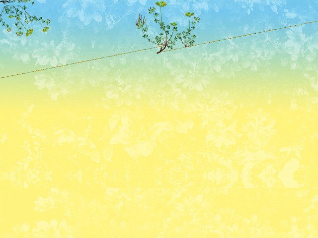 Bird wire yellow background glitch free wallpaper - medium preview image