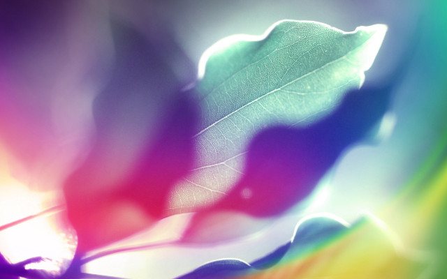 Leaf blurry rainbow background green free wallpaper - medium preview image
