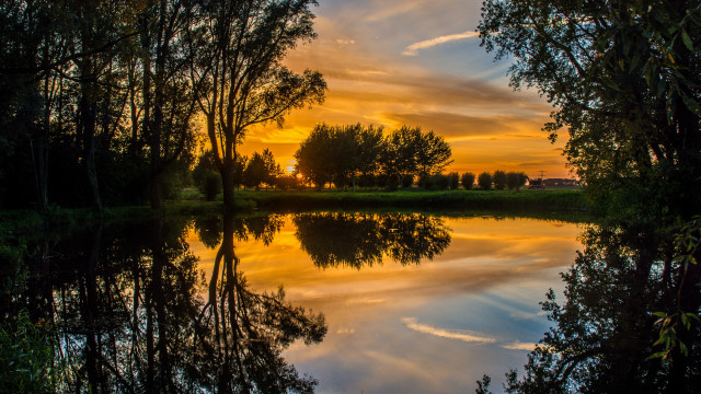 Sunset reflection trees lake forest free wallpaper - medium preview image