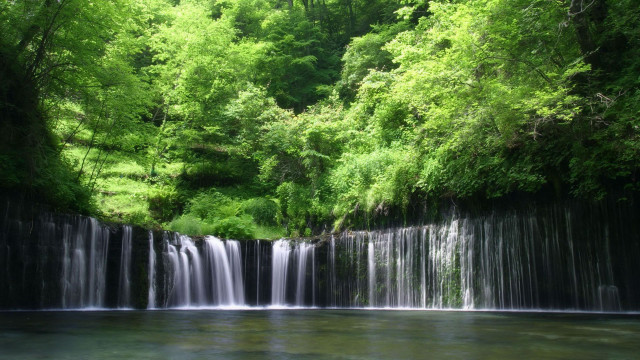 Waterfall forest stream trees nature free wallpaper - medium preview image
