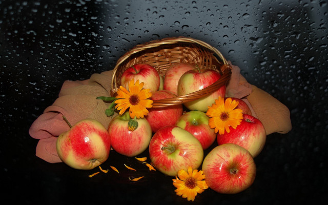 Basket apples daisies rain cloth free wallpaper - medium preview image