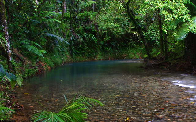River forest blue pool trees free wallpaper - medium preview image