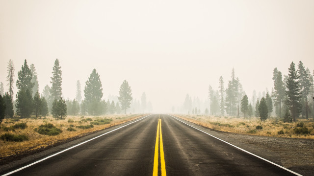 Long road yellow line field #2 free wallpaper - medium preview image