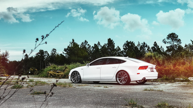 White car forest parking lot free wallpaper - medium preview image